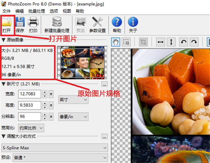 PhotoZoom Pro 专业图像放大软件功能界面