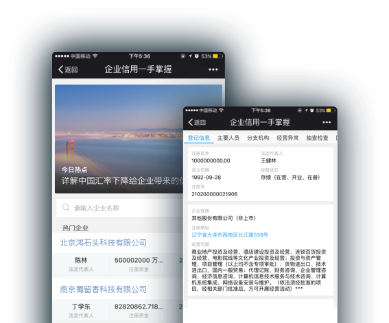 云企查 企业信息查询 信用报告 风险监控