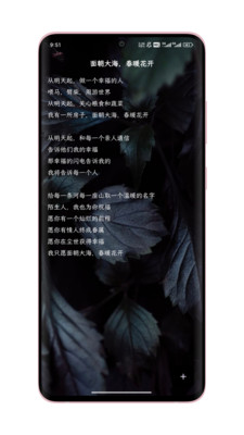 ֻ��д��-���������д��