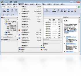 Xplorer2v5.5.2 �ļ������������н�ͼ