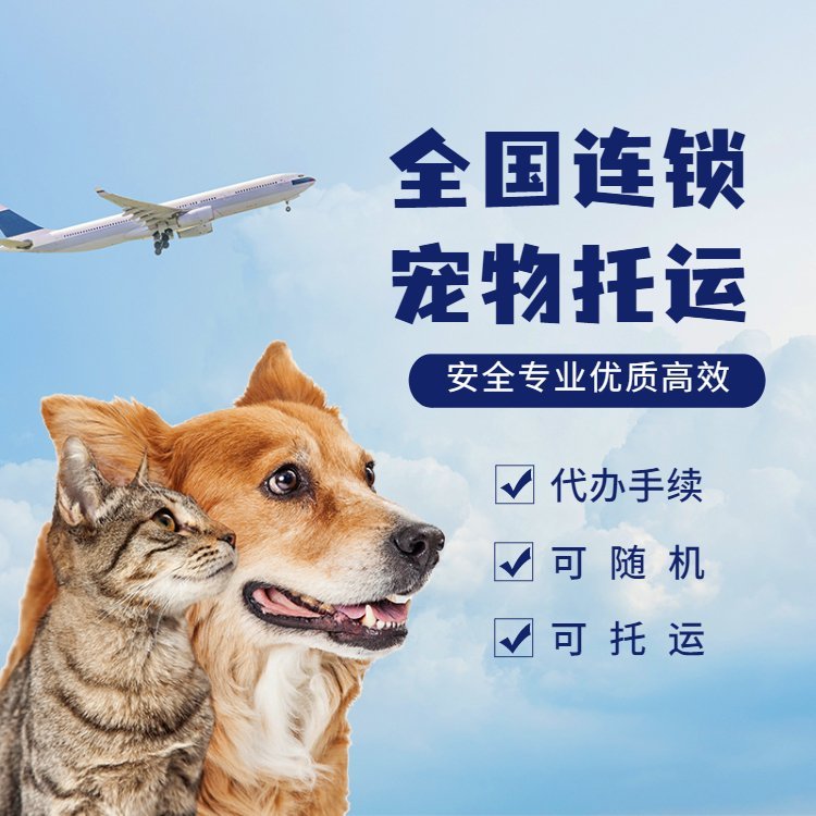 宠快达 宠物托运 安全 保障 实时定位 视频监控