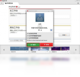 AnyDesk��ͼ0