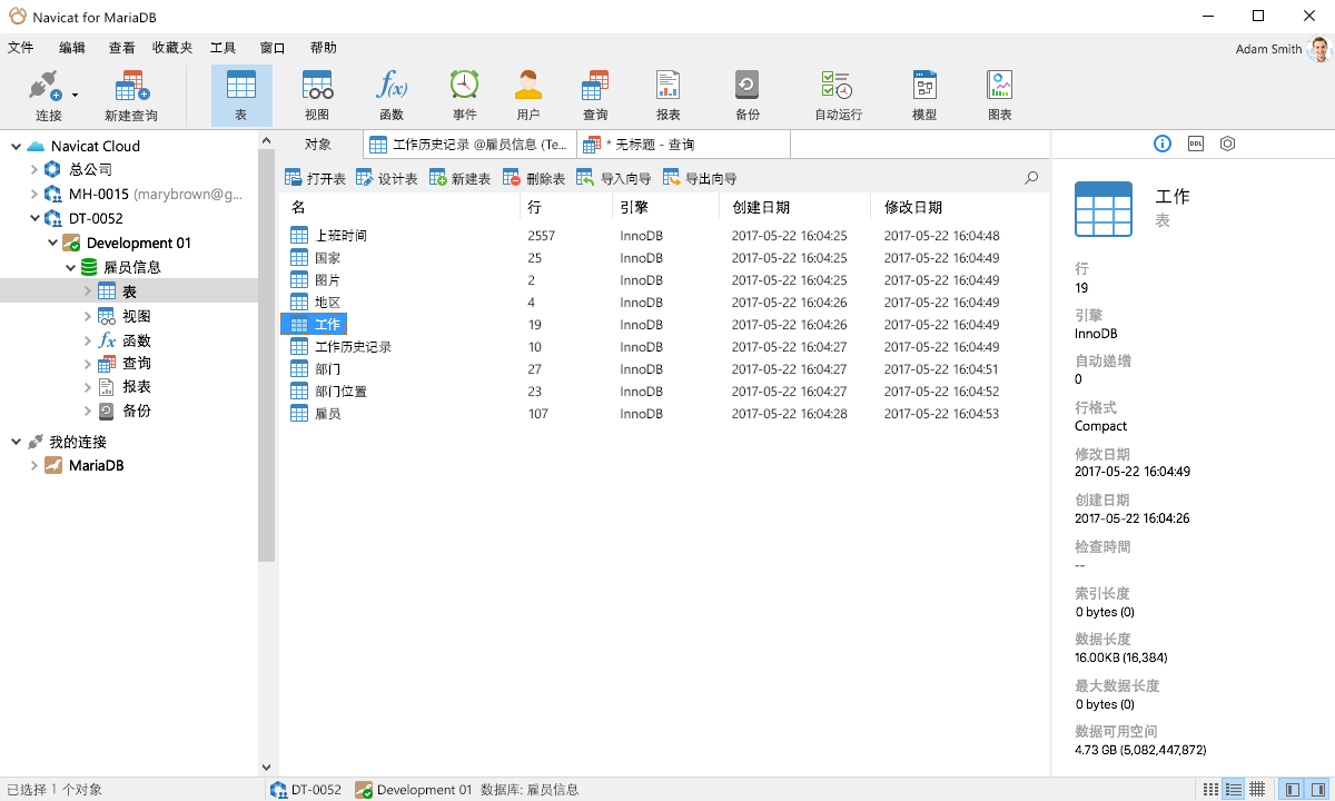 Navicat for MariaDB 数据库管理工具界面截图