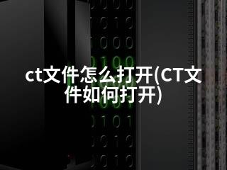CT������ʦ �ļ��򲻿� �������
