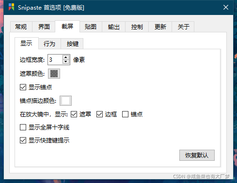 Snipaste 使用教程 截图标注