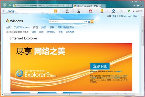 Internet Explorer 9 ����������ͼ