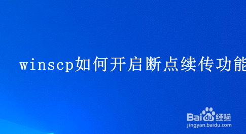 WinSCP 断点续传设置