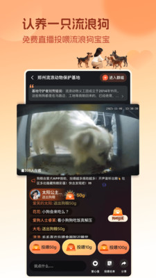 �ٻ�С�� ������ ����Ӧ��