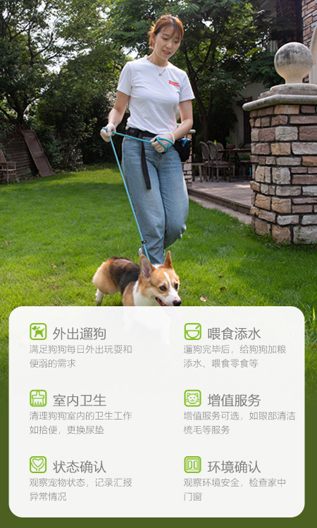宠好伴-上门喂猫遛狗喂养服务