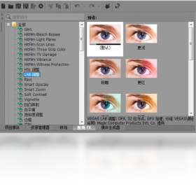 VEGAS Pro 14��ͼ2