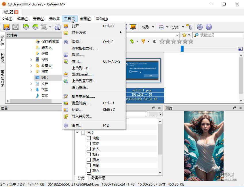 XnViewMP 支持的图片格式列表
