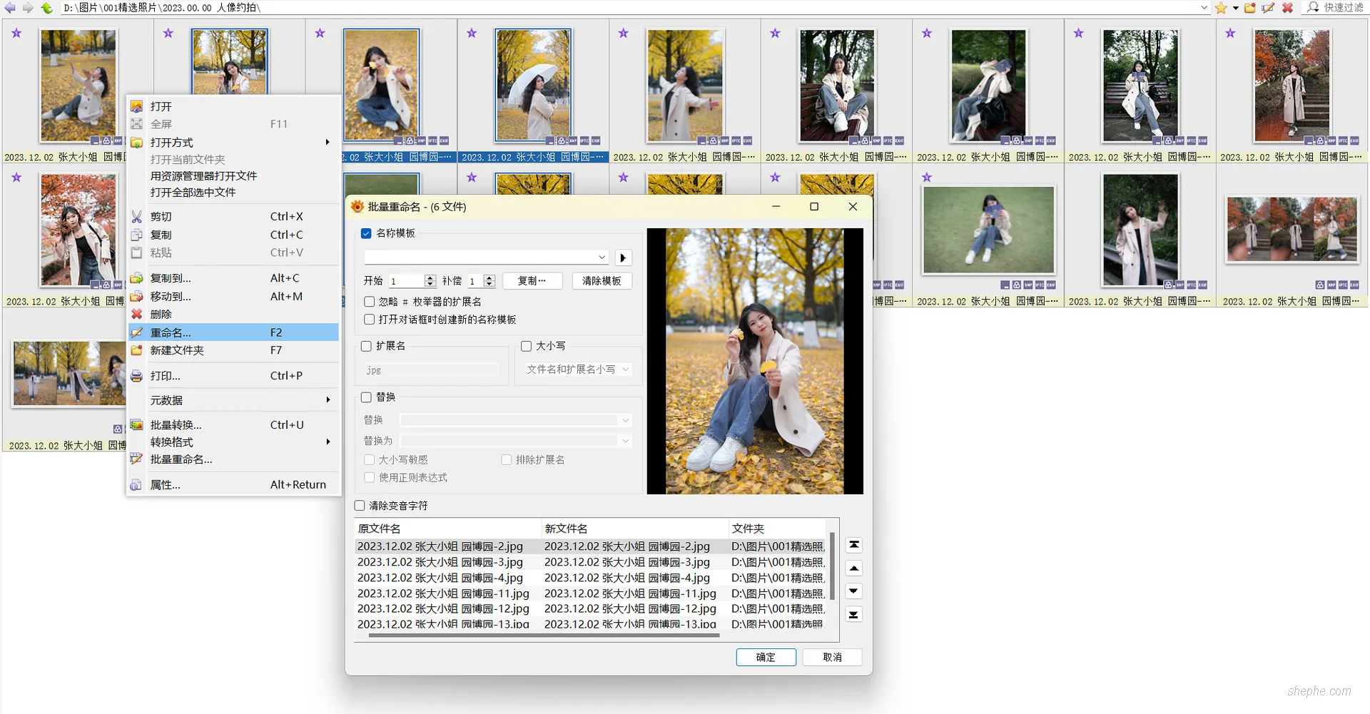 XnViewMP 快速浏览管理大量图片技巧