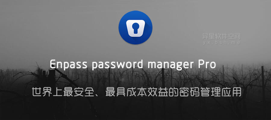 Enpass ���� ��ȫ ����