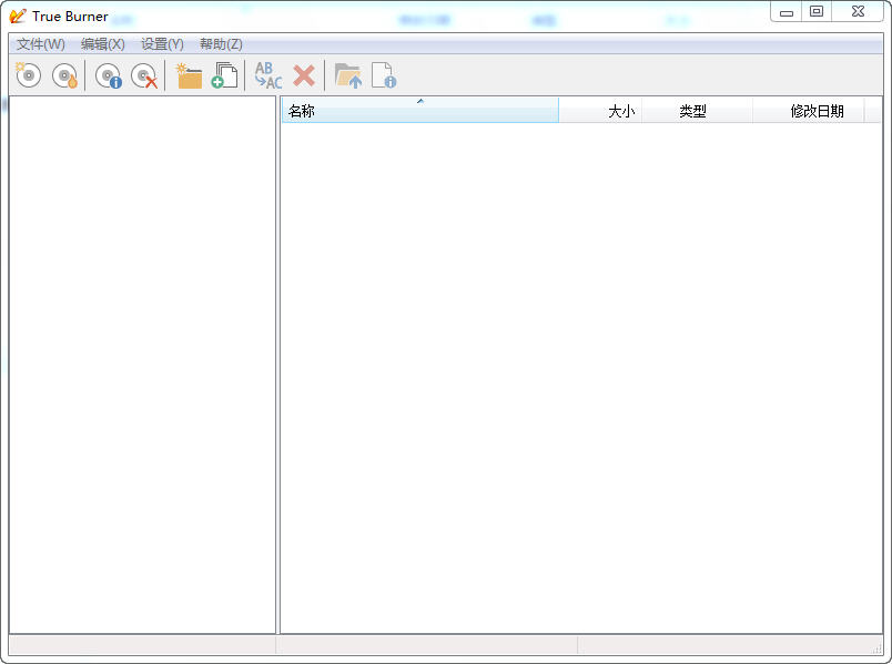 True Burner 光盘格式支持