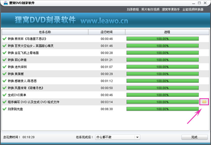 Cheetah DVD Burner 光盘格式支持