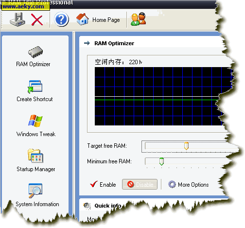 RAM Idle Professional ��ɫ���ܽ����ͼ