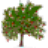 WinDirStat1.1.2 ���̿ռ����