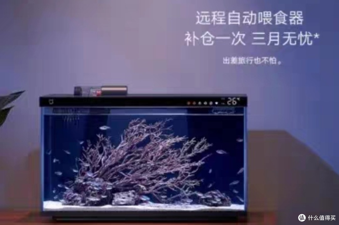 ������� ��ɫ���� ���� Ͷι