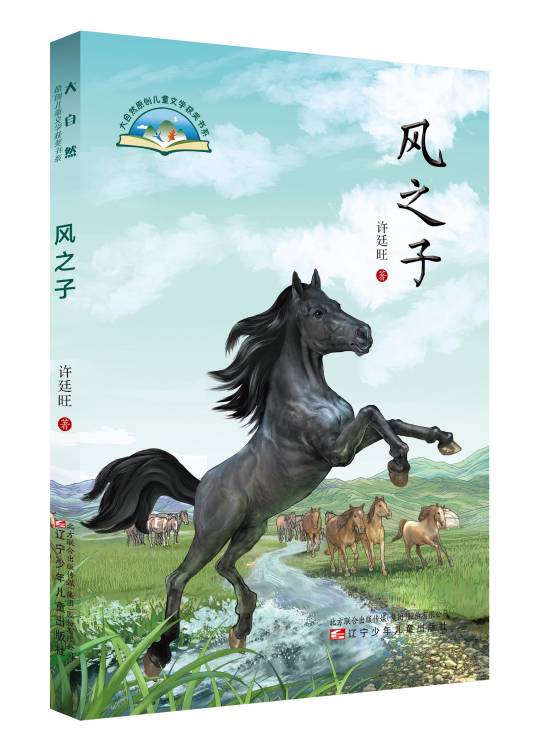 风智子