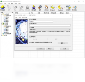 Internet Download Manager��ͼ4