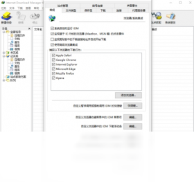 Internet Download Manager��ͼ2