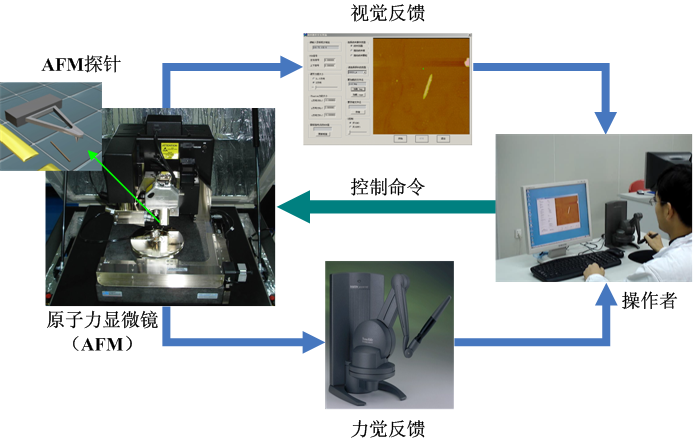 纳米机器人 使用教程 任务自动化
