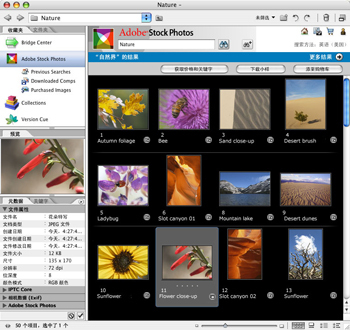 Adobe Bridge CS4 ���ܽ���