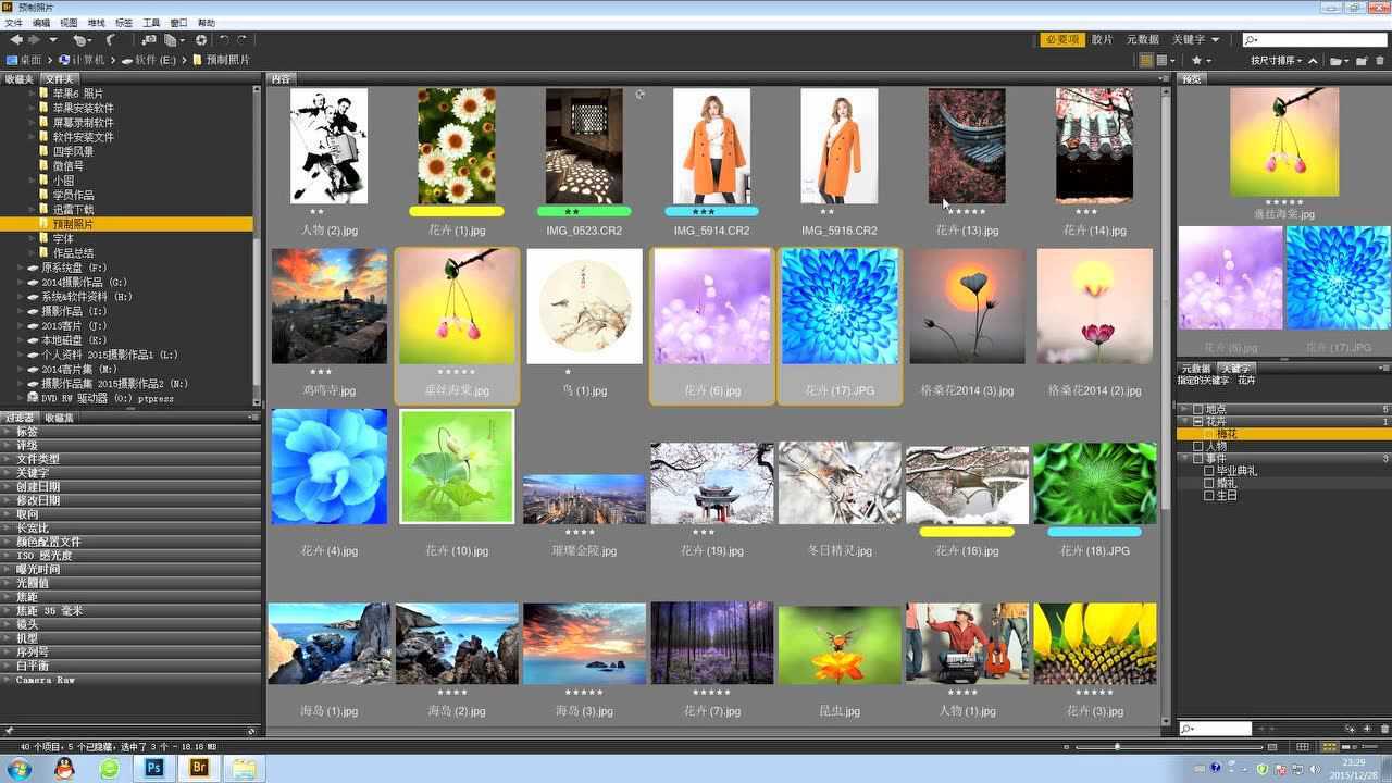 Adobe Bridge CS4 ͼƬ���� ����