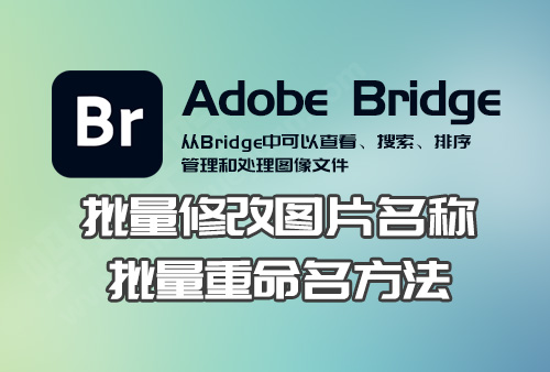 Adobe Bridge CS4 ���������� �̳�