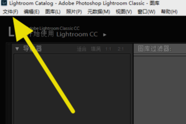 Adobe Photoshop Lightroom Classic ������Ƭ���������ͼ