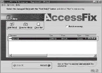 AccessFIX �޸����� �̳�