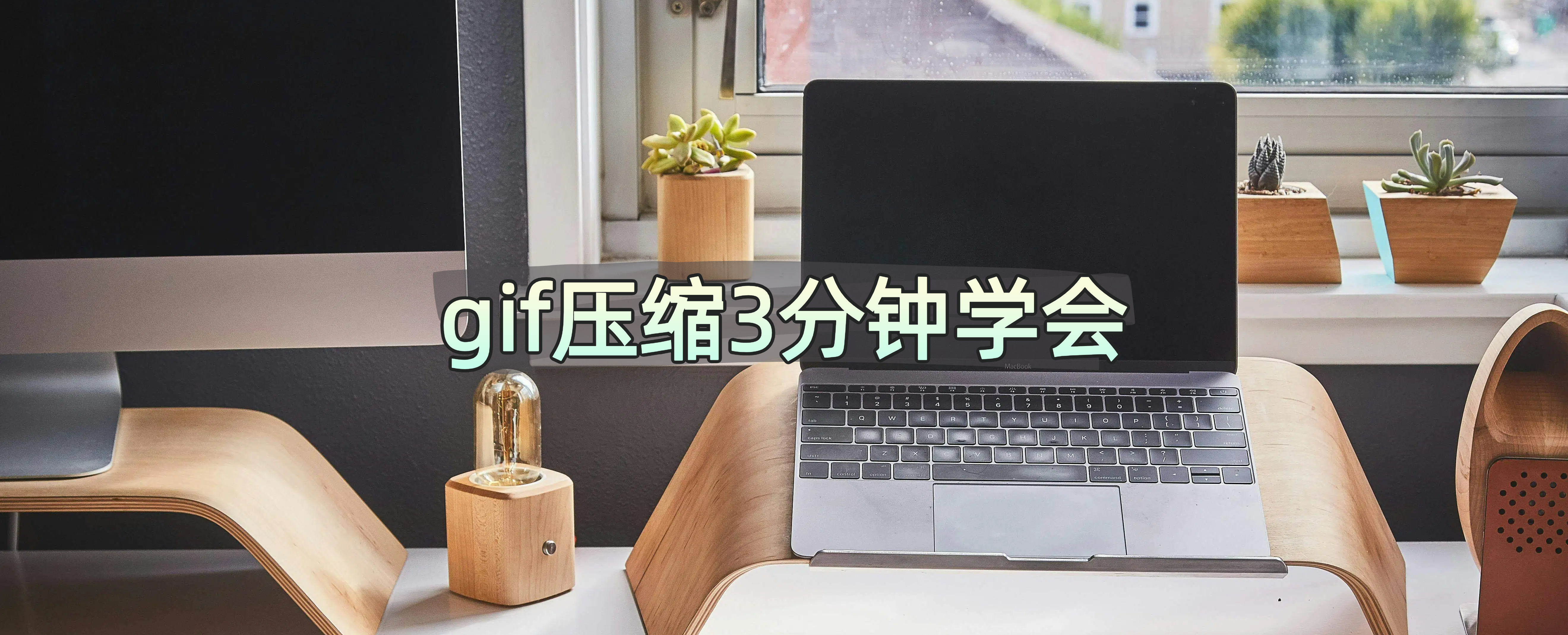 Advanced GIF Animator ѹ��GIF��С����