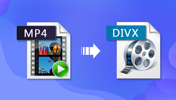 DVD to DIVX VCD Ripper ����ת������