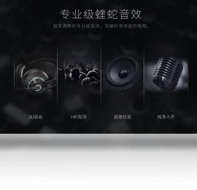 VIPER HiFi��ͼ4