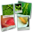 FotoWallv3.2.1 ͼ���������