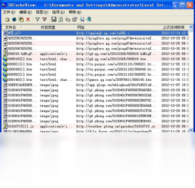 IECacheView 设置缓存路径选项