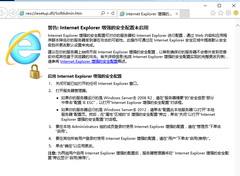 Internet Explorer Password Revealer ��ȫ�ɿ�