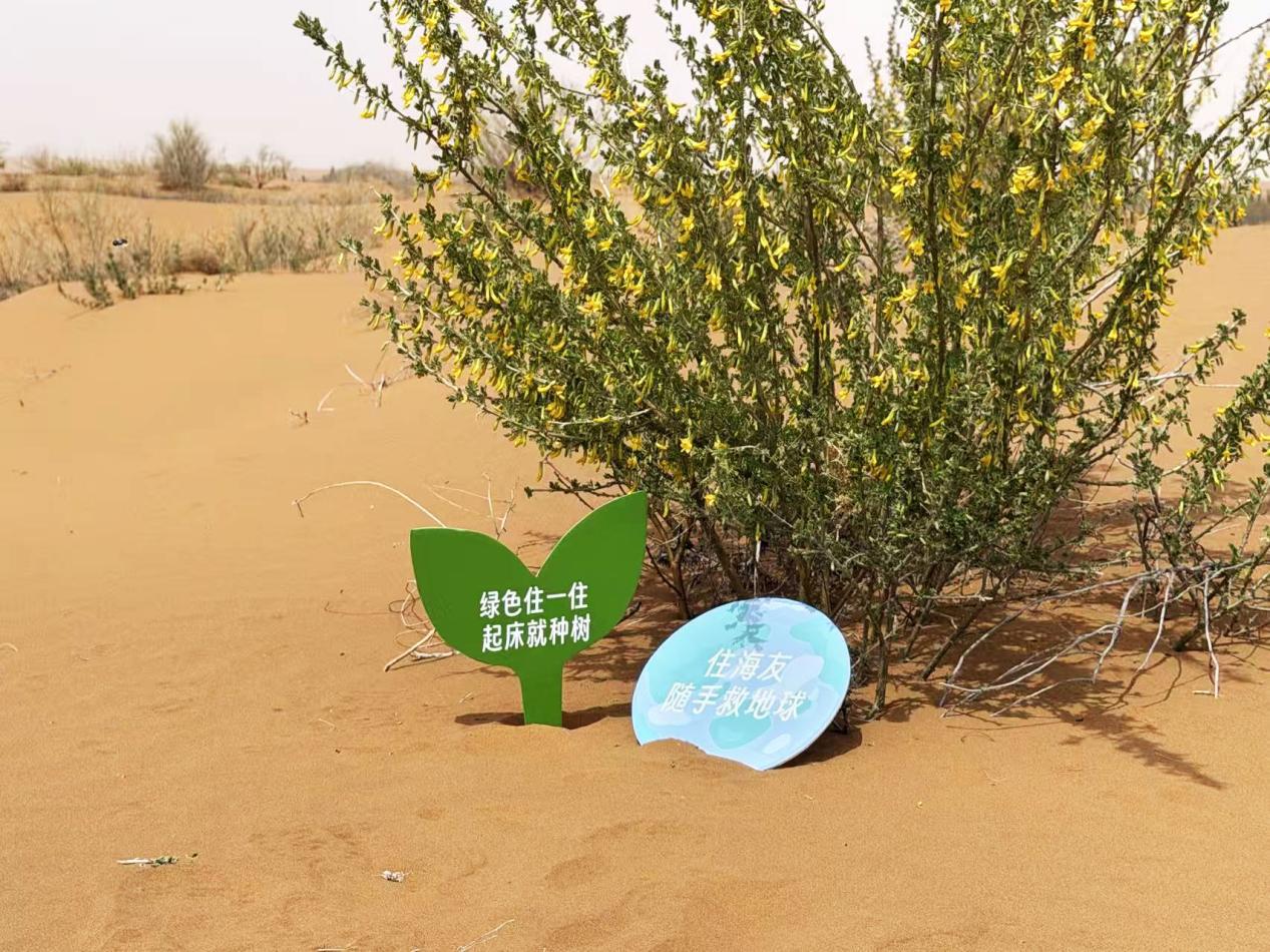 ��ס��-�ɾ������ó�