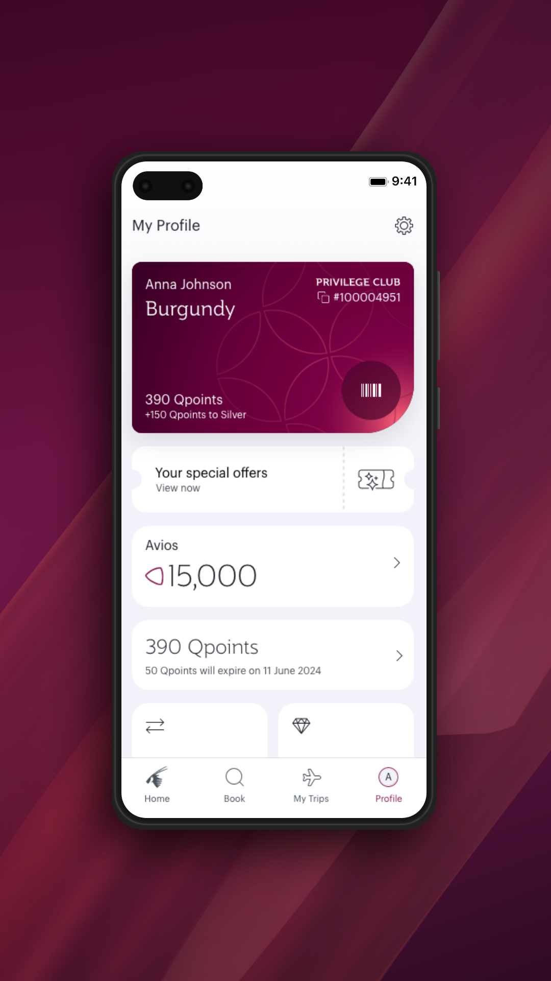 Qatar Airways ���������ս�ͼ7