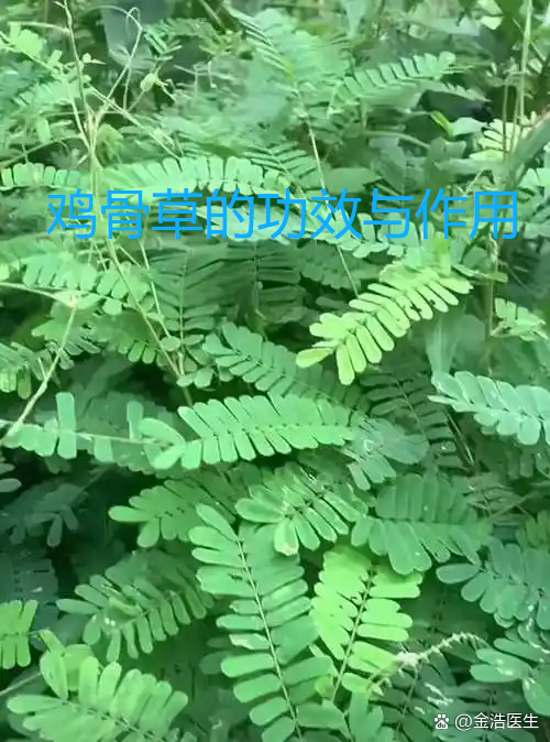 ע�����ʦ���