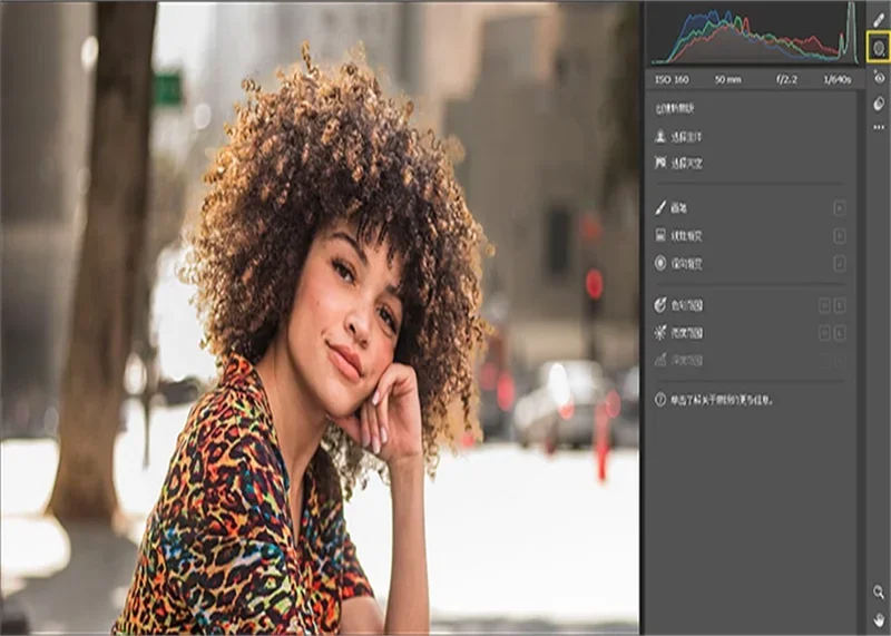 Adobe Camera Raw���İ�������ؽ�ͼ2
