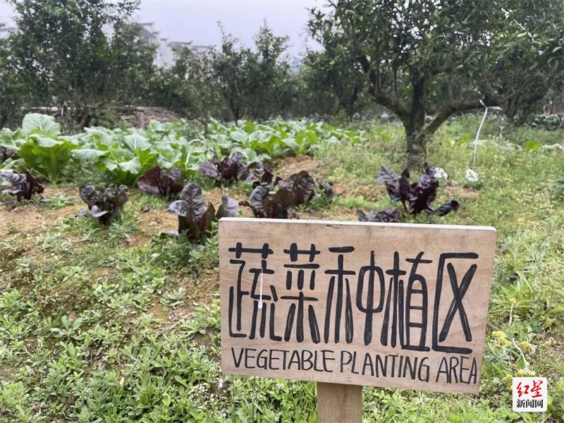 零果农圃