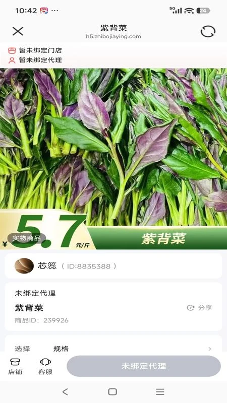 С����ѡ��ͼ2