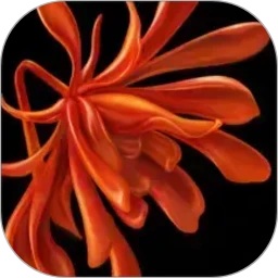 �ܼ�3.2.9 �ٷ��� ��ʽ�鱦ֱ��