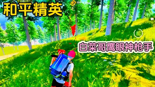 鹰眼神枪手