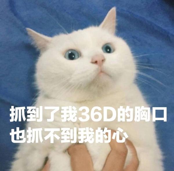 就抓不到我