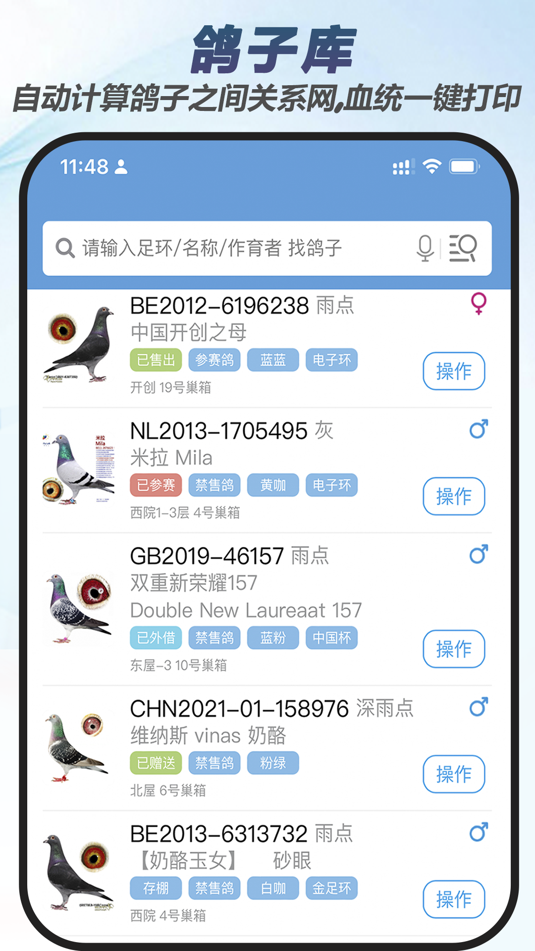 �����ƽ�ͼ2
