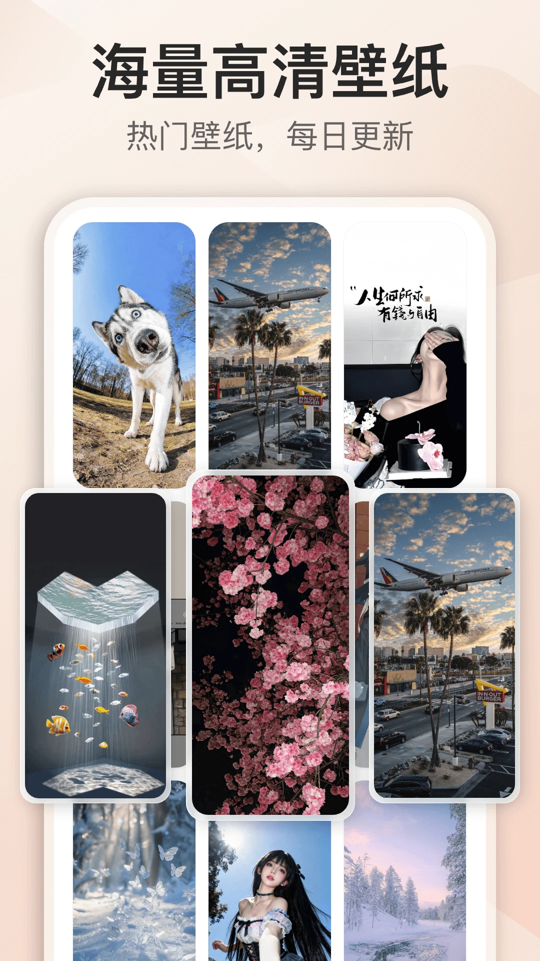 iScreen����С�����ͼ2