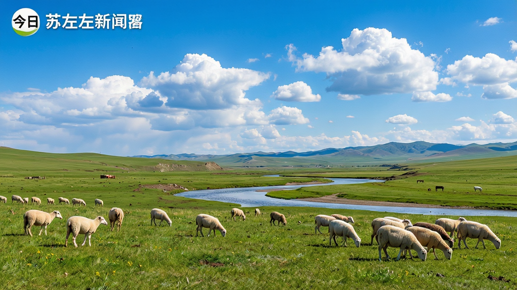 一幅描绘苏尼特左旗壮美草原风光的图片,画面中前景是绿草如茵的草原和悠闲吃草的羊群,中景是一条蜿蜒的河流,背景是蓝天白云与远山,图片将用于今日苏左新闻客户端的旅游风光栏目,风格写实,色彩明亮,画质极佳,干净无多余杂物