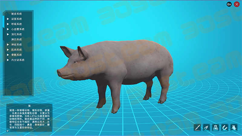 ��ģ���� ��ɫ ���� ��ͼ